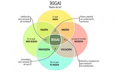 11 leyes del Ikagi