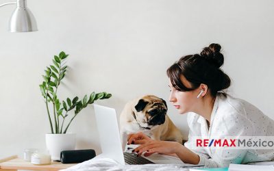 5 formas de mantenerte productivo mientras trabajas desde casa