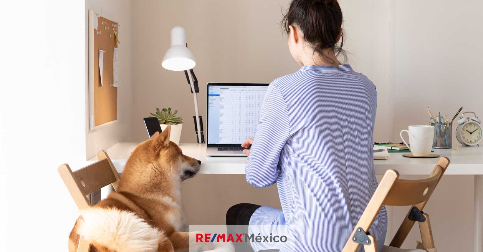 Si estás buscando una casa o departamento, y tienes mascota, debes tener mucho cuidado