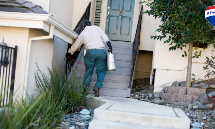 ¿Por qué es importante el mantenimiento contra plagas en tu hogar?